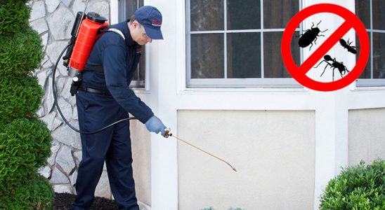 Kula Gümüşkurt İlaçlama böcek ilaçlama ve haşere kontrolü — ilaclama-tr.com